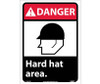Danger: Hard Hat Area (W/Graphic) - 14X10 - PS Vinyl - DGA2PB