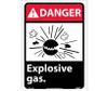Danger: Explosive Gas - 14X10 - PS Vinyl - DGA42PB
