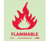 Fire Flammable 7X7 Ps Vinylglow