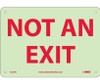 Not An Exit - 7X10 - Glow Rigid - GL15R