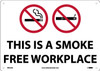 This Is A Smokefree Workplace  - 10X14 - .040 Aluminum - M954AB