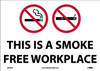 This Is A Smokefree Workplace  - 10X14 - Pressure Sensitive Vinyl - M954PB