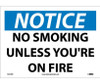 Notice: No Smoking Unless You'Re On Fire - 10X14 - PS Vinyl - N315PB