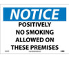 Notice: Positively No Smoking Allowed On These Premises - 10X14 - PS Vinyl - N331PB