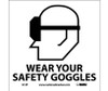 Wear Your Safety Goggles (W/Graphic) - 7X7 - PS Vinyl - S13P