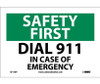 Safety First - Dial 911 In Case Of Emergency - 7X10 - PS Vinyl - SF116P