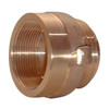 Female x Male Brass Hexagon Adapter, 2 1/2" NST x 2 1/2" NPT, 1/Each - 716