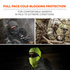 Ergodyne N-Ferno 6823 Balaclava Face Mask - Wind-Proof, Hinged Design