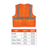 Ergodyne GloWear 8220Z Mesh Hi-Vis Safety Vest - Type, R Class 2, Zipper, Standard - Orange
