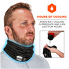 Ergodyne Chill-Its 6489 2-Layer Cooling Multi-Band - Performance Knit - Black