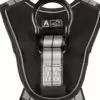 Safewaze PRO+ Slate Harness: Alu 1D, Alu QC Chest, TB Legs (L) - 020-1231
