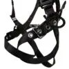 Safewaze V-Select Harness : 3D, QC Chest, FD, TB Legs (XS/S) - 021-1744