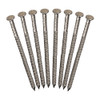 Safewaze 8pc 16D Roofing Nails for FS871 - 021-4067