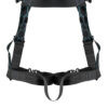 Safewaze Contour Harness: 1D, QC Chest/Legs (L) - 025-1699