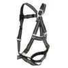 Safewaze Welding Harness: 1D, Aramid Web, MB Chest, MB Legs (M) - FS77325-FR-M