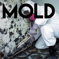 Image showcasing Asbestos, Lead & Mold Remediation - Jendco Safety Supply