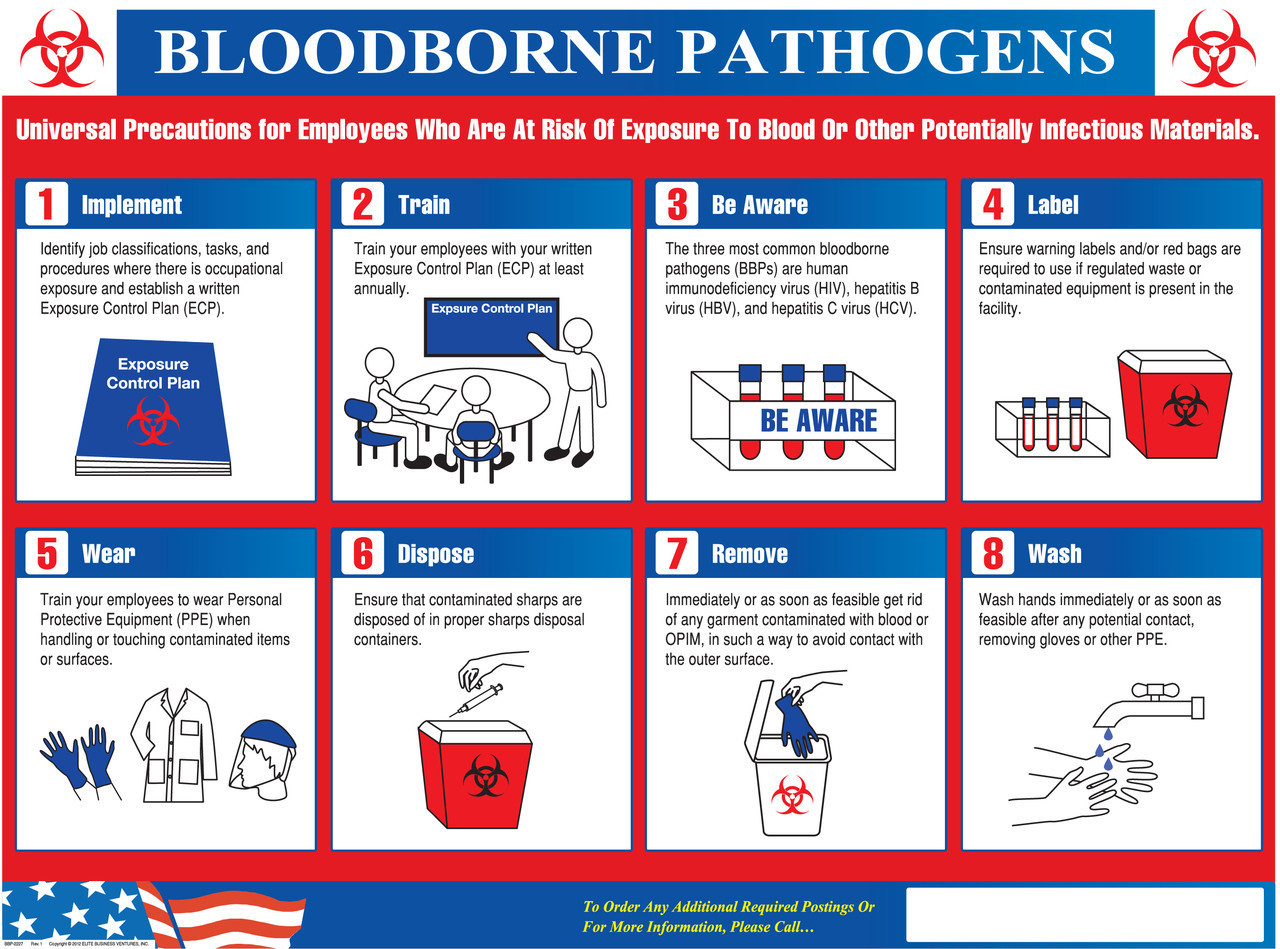 Printable Bloodborne Pathogens Poster Printable Word Searches