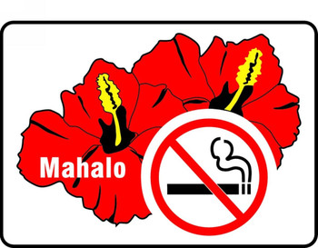 NO SMOKING SIGN - HAWAII 7" x 10" Plastic 1/Each - MSMK457VP