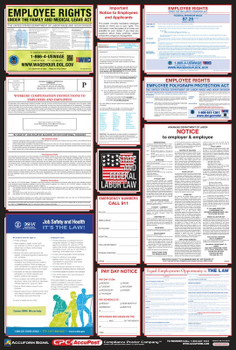 OSHA Safety Poster: Combo State, Federal & OSHA Labor Law Posters English State: Colorado 40" x 27" 1/Each - PPG300CO