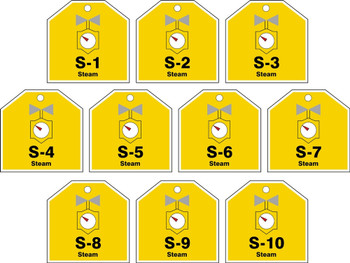 Energy Source Identification ShapeID Tags Series: Steam Plastic 10/Pack - TDJ120VPR