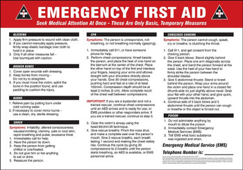 Safety Signs: Emergency First Aid English 14" x 20" Plastic 1/Each - MFSD604VP