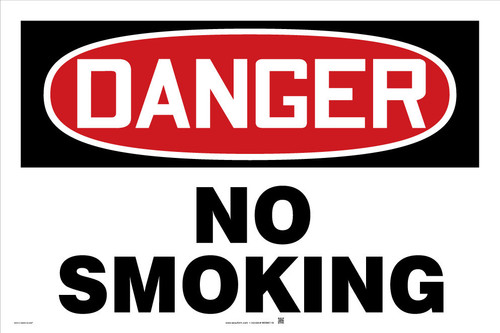 BIG Safety Sign 24" x 36" Aluminum 1/Each - MSMK116VA