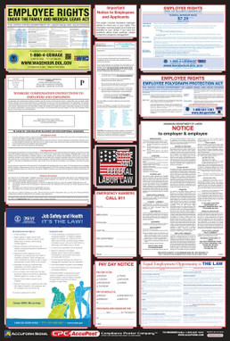 OSHA Safety Poster: Combo State, Federal & OSHA Labor Law Posters English State: Connecticut 40" x 27" 1/Each - PPG300CT