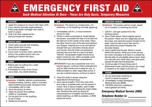 Safety Signs: Emergency First Aid Spanish 14" x 20" Dura-Fiberglass 1/Each - SHMFSD604XF