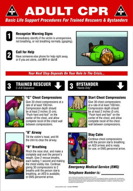 Safety Posters: Adult CPR Spanish 20" x 14" Dura-Plastic 1/Each - SHMFSD607XT