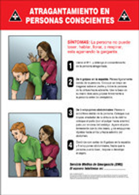 Safety Signs: Conscious Choking Spanish 14" x 10" Adhesive Vinyl 1/Each - SHMFSD610VS