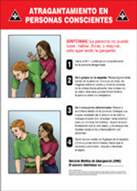 Safety Signs: Conscious Choking Spanish 14" x 10" Dura-Plastic 1/Each - SHMFSD610XT