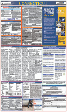 Labor Law Poster - Connecticut ( Spanish) - State And Federal - LLPS-CT