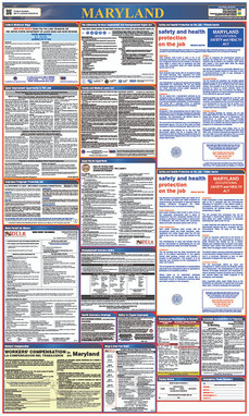 Labor Law Poster - Maryland - State And Federal - 40X24 - LLP-MD