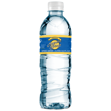 Magnetic Springs Bottled Water 16.9oz 24 Bottles/Case 