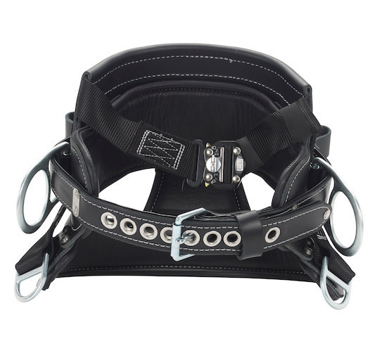 L'AppartementBorder Belt/ブラック The Limited Edition Black Belt - V10 Amur Leopard – The Arm Bar