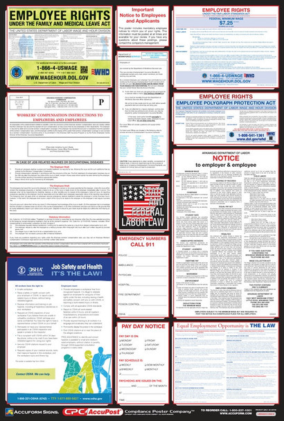 OSHA Safety Poster: Combo State, Federal & OSHA Labor Law Posters English State: New Hampshire 40" x 27" 1/Each - PPG300NH