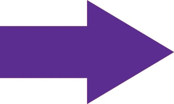 Magnetic Shapes - Arrows Purple 1 1/2" x 2 1/2" 10/Pack - MRB417MGPR