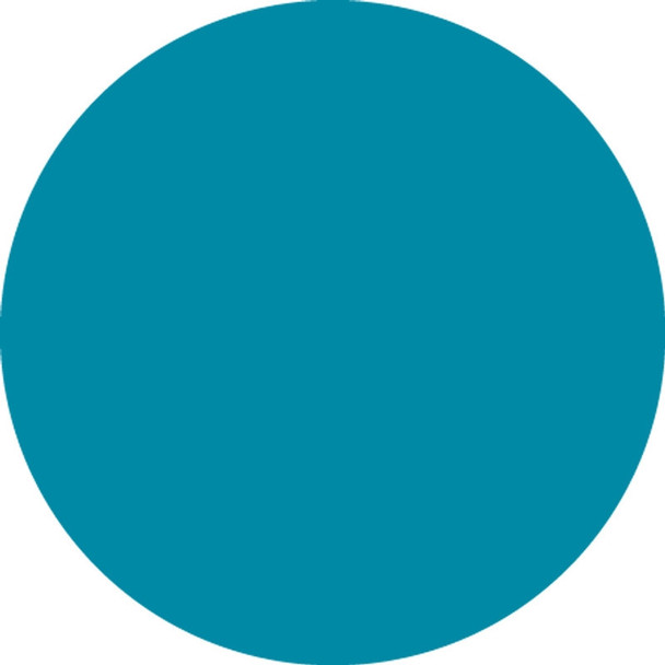 Blank Inventory Marking Dots Blue 1" Diameter 1000/Roll - LDT120BU