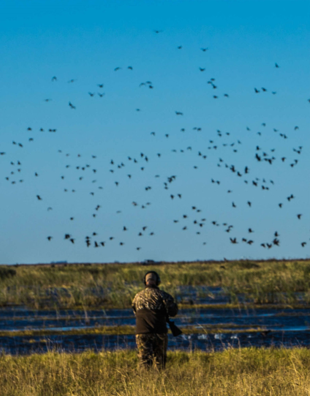 Argentina Mixed Bag Hunting Expedition