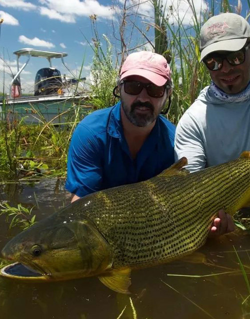 Argentina - Golden Dorado Fly Fishing Expedition