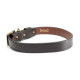 King Buck Premium Leather Collar back