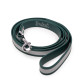 King Buck Waterproof Soft-Touch Reflective Leash 6-Foot teal