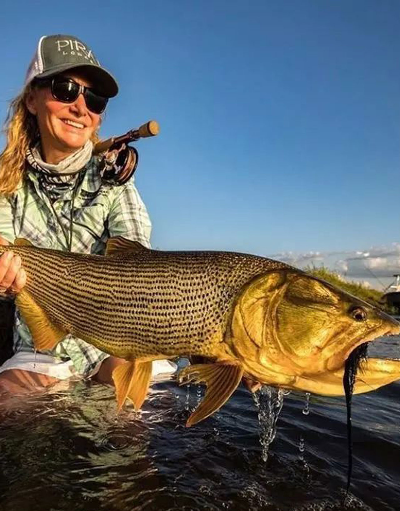 Argentina - Golden Dorado Fly Fishing Expedition