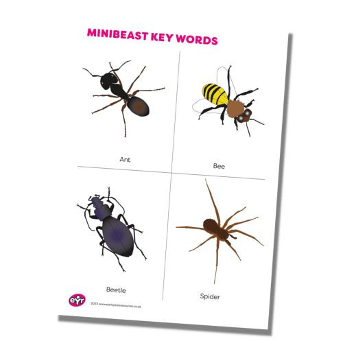 Mini Beast Key Mini beast Key Words
