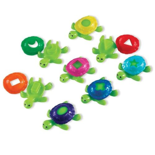 Small Turtle Shell Shape Cast Shape Shell Turtles | EYR