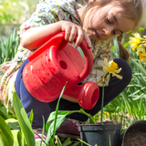 Gardening and Wildlife