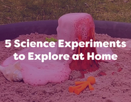 5 Fun STEM Science Experiments for Kids to Explore at Home