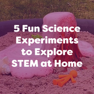 5 Fun Science Experiments for Kids to Explore STEM at Home
