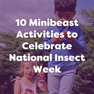 10 Minibeast Activities to Celebrate National Insect Week