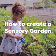 Sensory Gardens In Schools: How To Create One